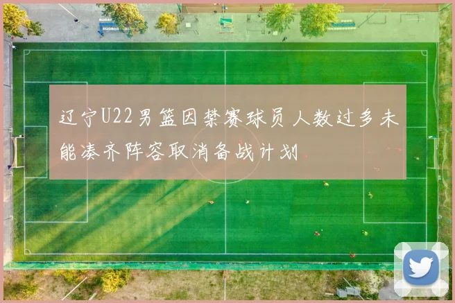 辽宁U22男篮因禁赛球员人数过多未能凑齐阵容取消备战计划