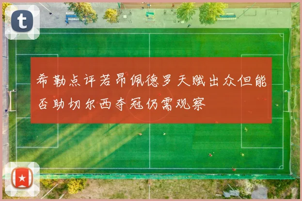 希勒点评若昂佩德罗天赋出众但能否助切尔西夺冠仍需观察