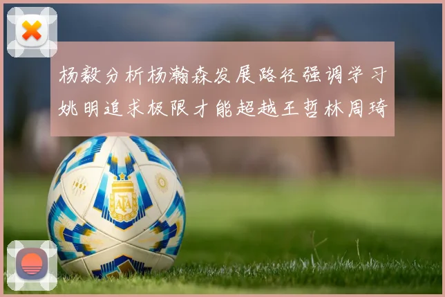 杨毅分析杨瀚森发展路径强调学习姚明追求极限才能超越王哲林周琦状态