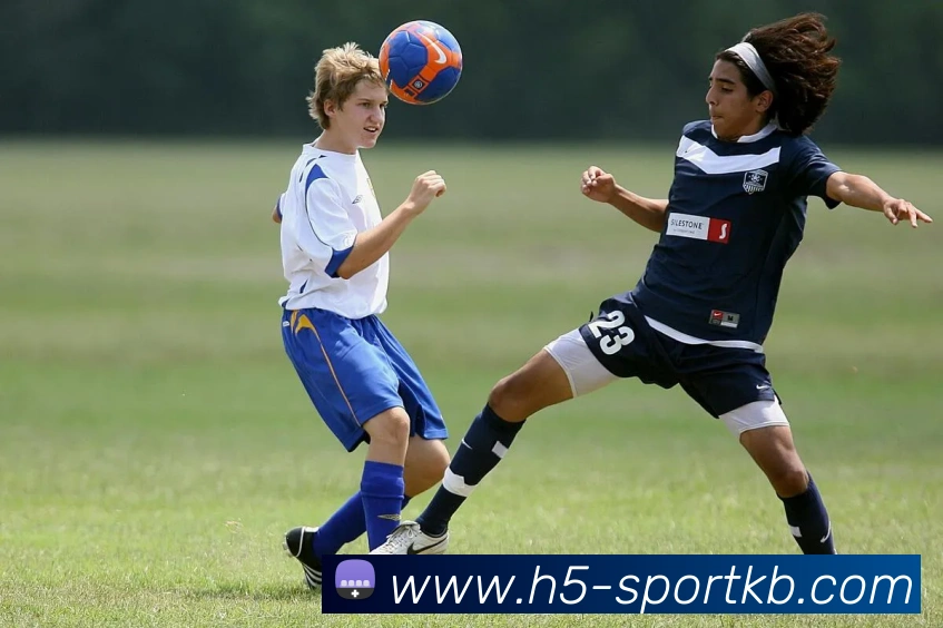 KB体育发展历程